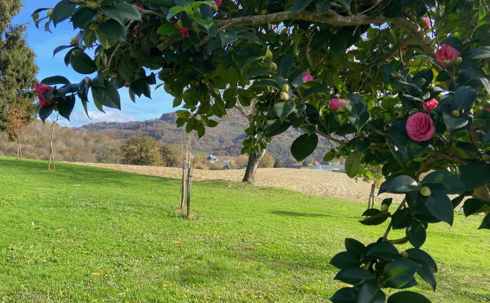 Belle Maison Souletine à la Lisière du village avec Vue Dégagé des Montagnes